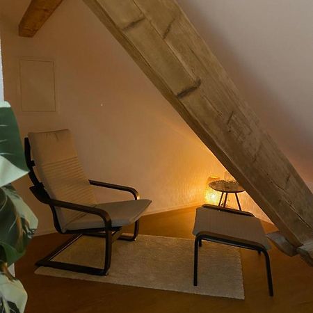 Eine Schoene Wohnung An Der Birs 巴塞尔 外观 照片