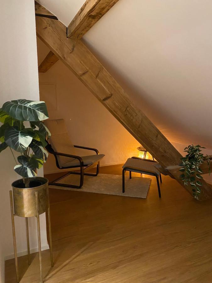 Eine Schoene Wohnung An Der Birs 巴塞尔 外观 照片