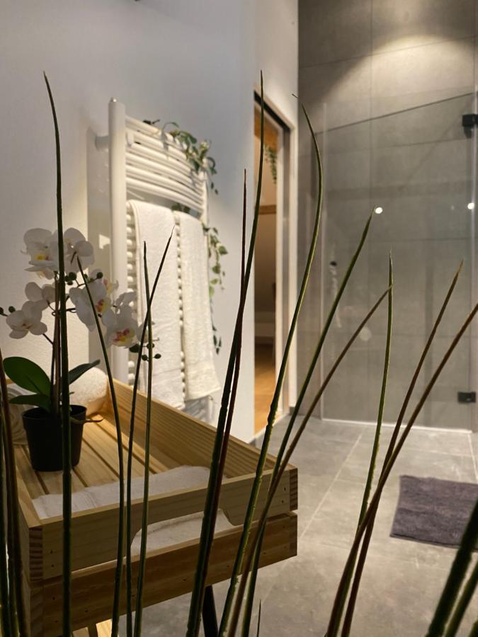 Eine Schoene Wohnung An Der Birs 巴塞尔 外观 照片