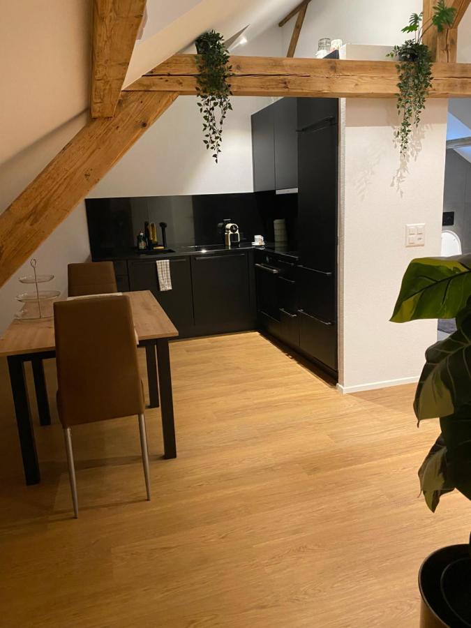 Eine Schoene Wohnung An Der Birs 巴塞尔 外观 照片